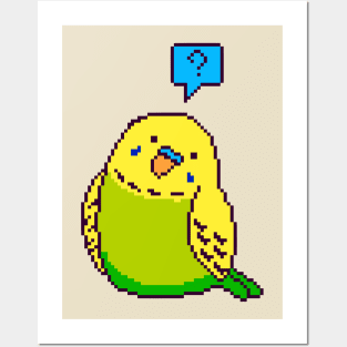 One curious budgie Posters and Art